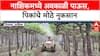 Nashik Rain Havoc: नाशिकमध्ये अवकाळीचा कहर, 'द्राक्ष फवारणीचा खर्च मोठा', शेतकरी चिंतेत