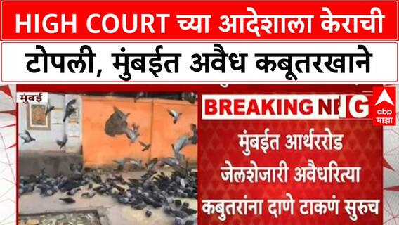 Pigeon Feeding Ban |हायकोर्टाच्या आदेशाला केराची टोपली, मुंबईत अवैध कबूतरखाने