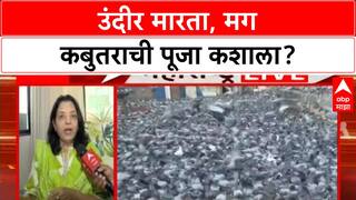 Pigeon Row: 'घरात आलेले उंदीर मारता, मग कबुतराची पूजा का?', Manisha Kayande यांचा थेट सवाल