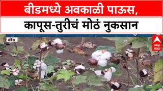 Maharashtra Rains: 'नुकसान भरपाई नाही, आता नवं संकट', Beed चे शेतकरी हवालदिल