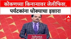 Jellyfish Alert: 'जेलीफिशना स्पर्श करू नका', प्रशासनाचा कोकणातील पर्यटकांना गंभीर इशारा