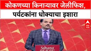 Jellyfish Alert: 'जेलीफिशना स्पर्श करू नका', प्रशासनाचा कोकणातील पर्यटकांना गंभीर इशारा