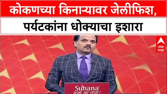 Jellyfish Alert: 'जेलीफिशना स्पर्श करू नका', प्रशासनाचा कोकणातील पर्यटकांना गंभीर इशारा