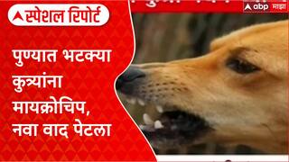 Special Report Dog : पुण्यात भटक्या कुत्र्यांना मायक्रोचिप, नवा वाद पेटला, योजनेचं काय होणार?