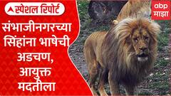 Lions language barrier |संभाजीनगरच्या सिंहांना भाषेची अडचण, आयुक्त मदतीला Special Report