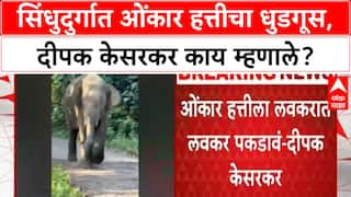 Sindhudurg Onkar Elephant : सिंधुदुर्गात ओंकार हत्तीचा धुडगूस, दीपक केसरकर काय म्हणाले?