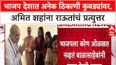 Maharashtra Politics 'भाजप देशात अनेक ठिकाणी कुबड्यांवर, महाराष्ट्रात 2,शहांना राऊतांचं प्रत्युत्तर