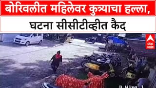 Shocking Video: बोरिवलीत महिलेवर भटक्या कुत्र्याचा जीवघेणा हल्ला, काळजाचा ठोका चुकवणारे CCTV फुटेज आले समोर