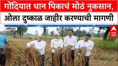 Farmers in Crisis: 'आम्हाला भरपाई पाहिजे', Gondia तील शेतकऱ्यांचा आक्रोश, सरकारला थेट इशारा