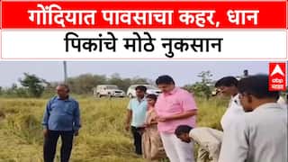 Farmer Distress: 'शेतकऱ्यांना तात्काळ मदत करा', Gondia त आमदार Vinod Agrawal अधिकाऱ्यांवर संतापले