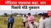 Farmer Distress: 'शेतकऱ्यांना तात्काळ मदत करा', Gondia त आमदार Vinod Agrawal अधिकाऱ्यांवर संतापले