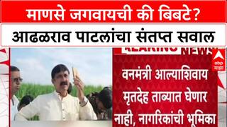 Man-Animal Conflict: 'माणसे जगवायची की बिबटे?', आढळराव पाटलांचा सरकारला थेट सवाल, शिरूरमध्ये संताप