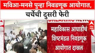 Maharashtra Politics: 'तुम्ही निवडणुका कशा घेता?', Raj Thackeray यांचा सवाल; MVA सोबत आयोगाच्या भेटीने भुवया उंचावल्या