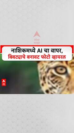 Nashik : नाशिकमध्ये AI मुळे बिबट्याची दहशत, समाजकंटकांनी व्हायरल केले बनावट Photos Special Report