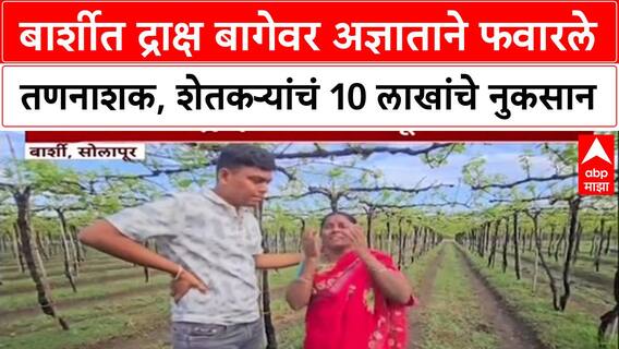Barshi Grapes : बार्शीत द्राक्ष बागेवर अज्ञाताने फवारले तणनाशक, शेतकऱ्यांचं 10 लाखांचे नुकसान