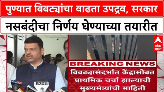 Human-Leopard Conflict: पुण्यात बिबट्यांचा वाढता उपद्रव, सरकार नसबंदीचा निर्णय घेण्याच्या तयारीत