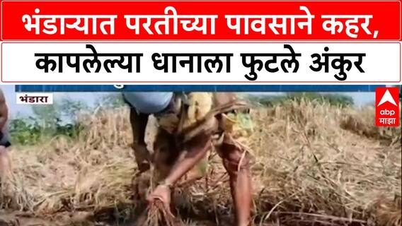 Farmers' Crisis: 'सरकारने मदत करावी नाहीतर...', Bhandara तील कर्जबाजारी शेतकऱ्यांचा आक्रोश