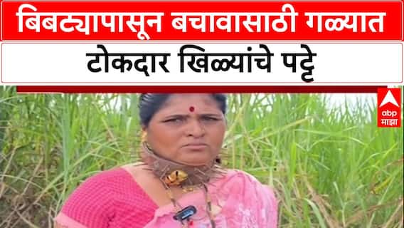 Human-Leopard Conflict: बिबट्याच्या दहशतीमुळे Pune च्या महिला गळ्यात घालतायत खिळ्यांचे पट्टे!