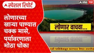 Lonar Lake : लोणारच्या खाऱ्या पाण्यात चक्क मासे, पर्यावरणाला मोठा धोका Special Report