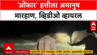 Omkar Beat Case :'ओंकार' हत्तीला अमानुष मारहाण, व्हिडीओ व्हायरल