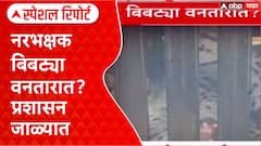 Pune Leopard Attack : नरभक्षक बिबट्या वनतारात? प्रशासन जाळ्यात Special Report