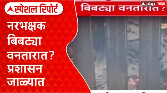 Pune Leopard Attack : नरभक्षक बिबट्या वनतारात? प्रशासन जाळ्यात Special Report