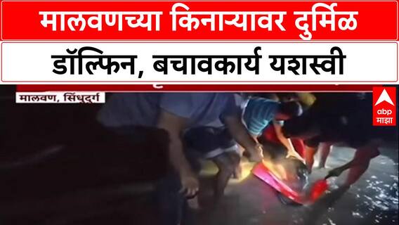 Dolphin Rescue: खोल समुद्रातील डॉल्फिन मालवणच्या किनाऱ्यावर, मच्छिमारांच्या प्रयत्नांना यश!
