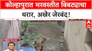 Kolhapur Leopard : दोन तासांच्या थरारानंतर कोल्हापुरातील बिबट्या जेरबंद, नागरिकांचा सुटकेचा निश्वास