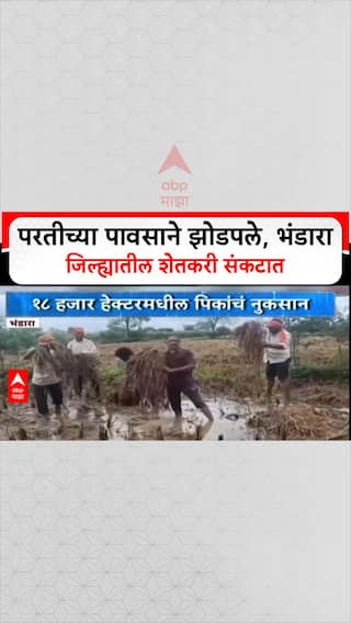 Maharashtra Rains: भंडारा जिल्ह्यात परतीच्या पावसाचा कहर, ४३ हजार शेतकऱ्यांचे १८ हजार हेक्टरवरील पीक उद्ध्वस्त!