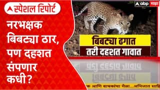 Pune Leopard : नरभक्षक बिबट्या ठार, पण दहशत संपणार कधी? Special Report