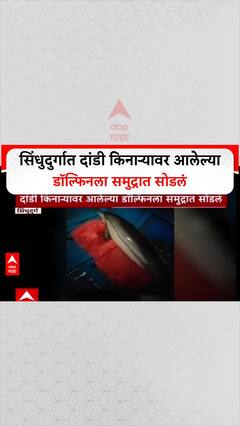 Sindhudurg Dolphin : सिंधुदुर्गात दांडी किनाऱ्यावर आलेल्या डॉल्फिनला समुद्रात सोडलं