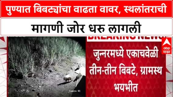 Leopard Relocation: 'या बिबट्यांना Gujarat मध्ये कधी स्थलांतरित करणार?', जुन्नरमधील स्थानिकांचा सवाल