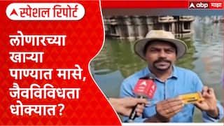 Special Report Lonar Ecosystem: 'अशा प्रकारचे मासे पाण्यात येणं हा पर्यावरणाला प्रचंड धोका', लोणार सरोवरात आढळले मासे