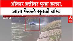 Omkar Elephant: ओंकार हत्तीवर पुन्हा हल्ला, आता फेकले सुतळी बॉम्ब