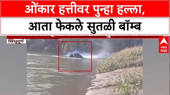 Omkar Elephant: ओंकार हत्तीवर पुन्हा हल्ला, आता फेकले सुतळी बॉम्ब