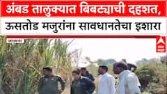 Leopard Menace : अंबड तालुक्यात बिबट्याची दहशत, ऊसतोड मजुरांना प्रशासनाचा सतर्कतेचा इशारा