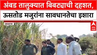 Leopard Menace : अंबड तालुक्यात बिबट्याची दहशत, ऊसतोड मजुरांना प्रशासनाचा सतर्कतेचा इशारा