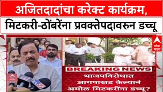 NCP Reshuffle: 'दादांवर तटकरेंची सरशी?', मिटकरी-ठोंबरेंना डच्चू, अंधारेंच्या विधानाने खळबळ