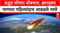 Lonar Lake Threat: '...मासे पाण्यात येणं हा पर्यावरणाला प्रचंड धोका आहे,' तज्ज्ञांचा इशारा