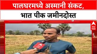 Farmer Distress: 'आमच्याकडे कोणीच बघायला आलं नाही', Palghar मध्ये शेतकऱ्यांच्या डोळ्यात पाणी
