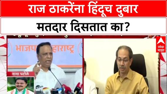 Ashish Shelar On Raj Thackeray : राज ठाकरेंना हिंदूच दुबार मतदार दिसतात का?