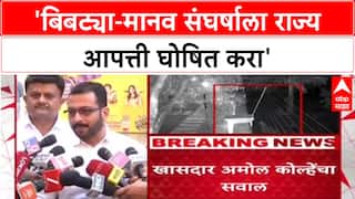 Amol Kolhe On Leopard Attack : 'बिबट्या-मानव संघर्षाला राज्य आपत्ती घोषित करा', अमोल कोल्हेंची मागणी