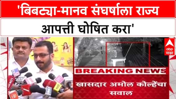 Amol Kolhe On Leopard Attack : 'बिबट्या-मानव संघर्षाला राज्य आपत्ती घोषित करा', अमोल कोल्हेंची मागणी