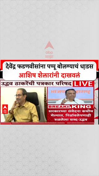Uddhav Thackerya On Devendra Fadnavis : देवेंद्र फडणवीसांना पप्पू बोलण्याचं धा़डस आशिष शेलारांनी दाखवलं