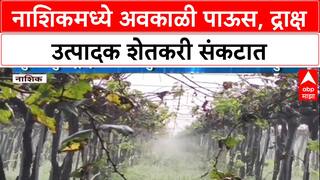 Weather Alert: नाशिकमध्ये द्राक्ष बागांवर दुहेरी संकट, Lasalgaon परिसरातील शेतकरी चिंतेत