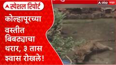 Kolhapur Leopard : कोल्हापूरच्या वस्तीत बिबट्याचा थरार, ३ तास श्वास रोखले! Special Report