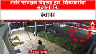 Leopard Menace: 'मोठ्या प्रमाणात Sterilization Program राबवू', बिबट्यांच्या वाढत्या संख्येवर मुख्यमंत्र्यांचे वक्तव्य