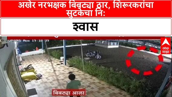 Leopard Menace: 'मोठ्या प्रमाणात Sterilization Program राबवू', बिबट्यांच्या वाढत्या संख्येवर मुख्यमंत्र्यांचे वक्तव्य