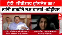 Vijay Wadettiwar On Pune Land : ईडी, सीबीआय झोपलेत का? त्यांनी तातडीने लक्ष घालावं - वडेट्टीवार