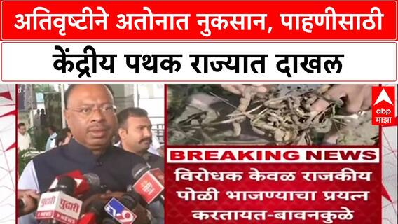 Central Team Visit: 'विरोधक केवळ राजकीय फोडी भासविण्याचा प्रयत्न करतायत', चंद्रशेखर बावनकुळे यांचा टोला